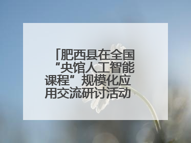 肥西县在全国“央馆人工智能课程”规模化应用交流研讨活动作交流发言
