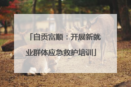 自贡富顺：开展新就业群体应急救护培训