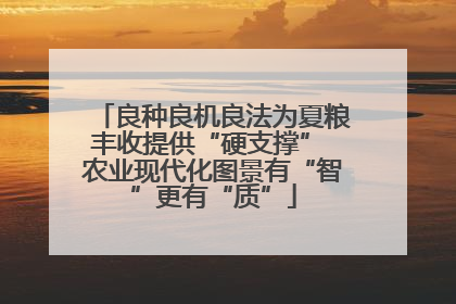 良种良机良法为夏粮丰收提供“硬支撑” 农业现代化图景有“智”更有“质”