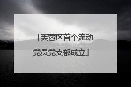 芙蓉区首个流动党员党支部成立