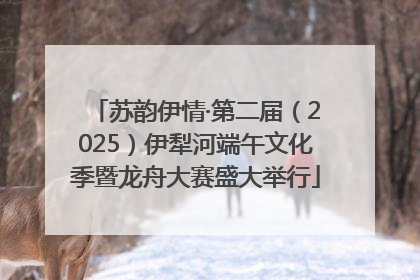 苏韵伊情·第二届（2025）伊犁河端午文化季暨龙舟大赛盛大举行