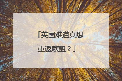 英国难道真想重返欧盟？