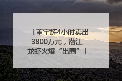 董宇辉4小时卖出3800万元，潜江龙虾火爆“出圈”
