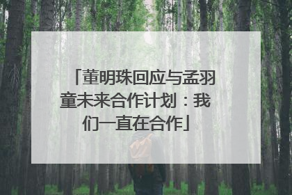 董明珠回应与孟羽童未来合作计划：我们一直在合作