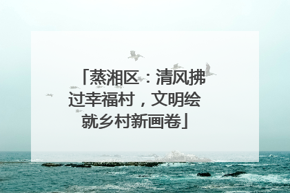 蒸湘区：清风拂过幸福村，文明绘就乡村新画卷