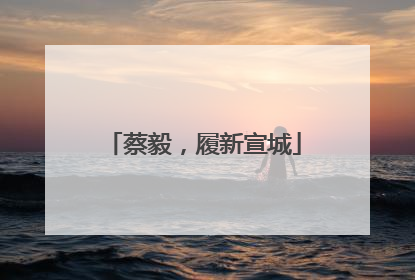 蔡毅，履新宣城