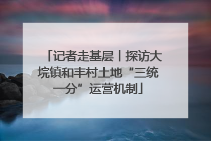 记者走基层丨探访大垸镇和丰村土地“三统一分”运营机制