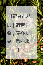 记者走基层｜追着丰收，麦客夫妻一路向北