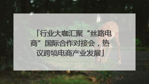 行业大咖汇聚“丝路电商”国际合作对接会，热议跨境电商产业发展