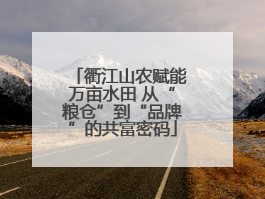 衢江山农赋能万亩水田 从“粮仓”到“品牌”的共富密码