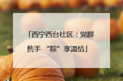 西宁西台社区：党群携手 “粽”享温情