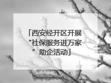 西安经开区开展“社保服务进万家”助企活动