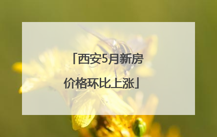 西安5月新房价格环比上涨
