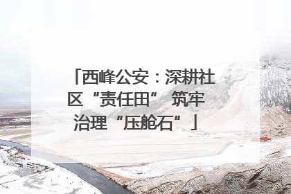 西峰公安：深耕社区“责任田” 筑牢治理“压舱石”