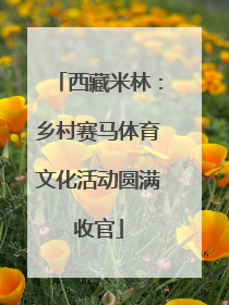 西藏米林：乡村赛马体育文化活动圆满收官