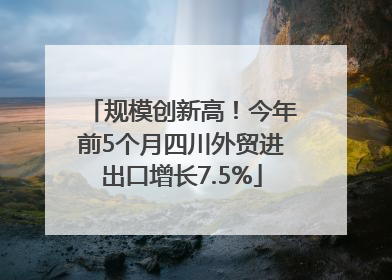 规模创新高！今年前5个月四川外贸进出口增长7.5%