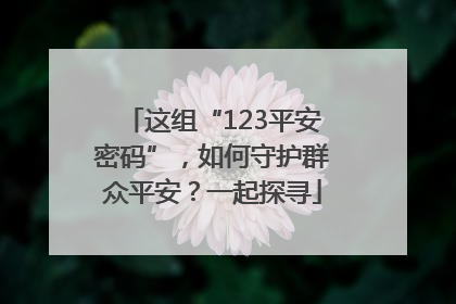 这组“123平安密码”，如何守护群众平安？一起探寻