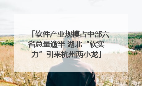 软件产业规模占中部六省总量逾半 湖北“软实力”引来杭州两小龙