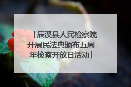 辰溪县人民检察院开展民法典颁布五周年检察开放日活动