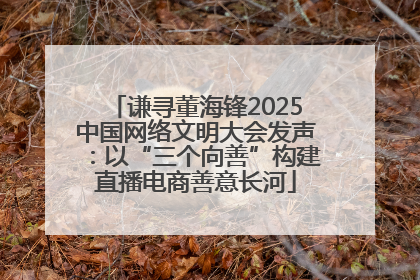 谦寻董海锋2025中国网络文明大会发声：以“三个向善”构建直播电商善意长河
