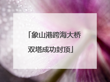 象山港跨海大桥双塔成功封顶