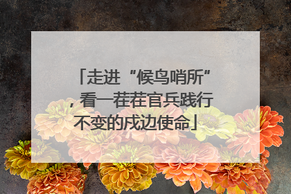 走进“候鸟哨所”，看一茬茬官兵践行不变的戍边使命