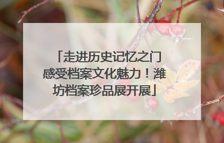 走进历史记忆之门 感受档案文化魅力！潍坊档案珍品展开展