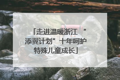 走进温暖浙江 “添翼计划”十年呵护特殊儿童成长