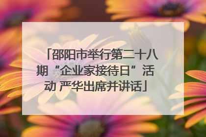 邵阳市举行第二十八期“企业家接待日”活动 严华出席并讲话