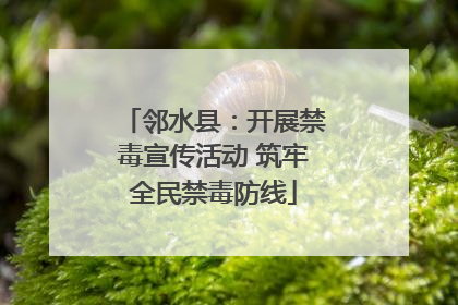邻水县：开展禁毒宣传活动 筑牢全民禁毒防线