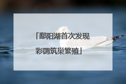 鄱阳湖首次发现彩鹮筑巢繁殖