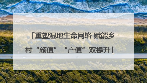 重塑湿地生命网络 赋能乡村“颜值”“产值”双提升