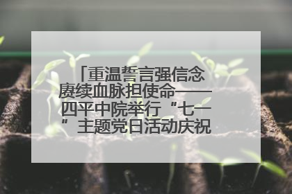 重温誓言强信念 赓续血脉担使命——四平中院举行“七一”主题党日活动庆祝建党104周年