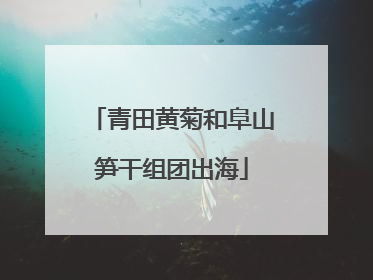 青田黄菊和阜山笋干组团出海