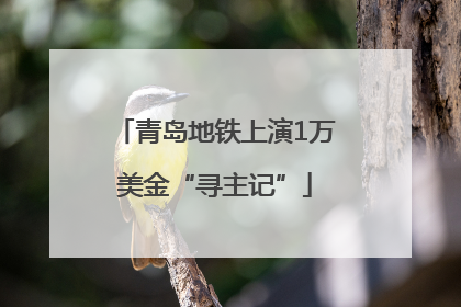 青岛地铁上演1万美金“寻主记”