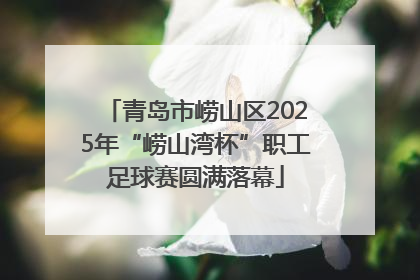 青岛市崂山区2025年“崂山湾杯”职工足球赛圆满落幕