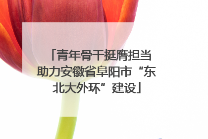 青年骨干挺膺担当 助力安徽省阜阳市“东北大外环”建设
