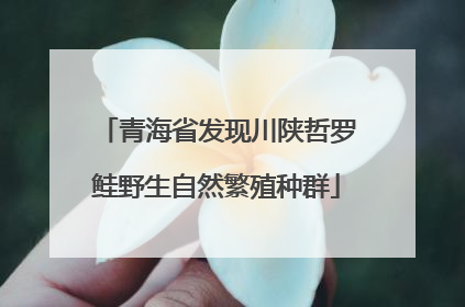 青海省发现川陕哲罗鲑野生自然繁殖种群