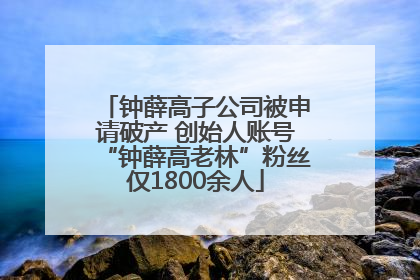 钟薛高子公司被申请破产 创始人账号“钟薛高老林”粉丝仅1800余人