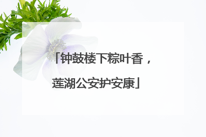 钟鼓楼下粽叶香，莲湖公安护安康