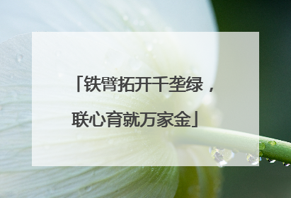 铁臂拓开千垄绿，联心育就万家金