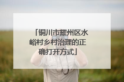 铜川市耀州区水峪村乡村治理的正确打开方式