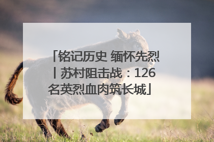 铭记历史 缅怀先烈丨苏村阻击战：126名英烈血肉筑长城