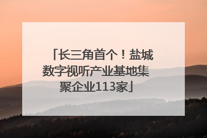 长三角首个！盐城数字视听产业基地集聚企业113家