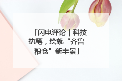 闪电评论｜科技执笔，绘就“齐鲁粮仓”新丰景