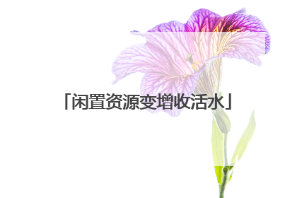 闲置资源变增收活水