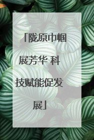 陇原巾帼展芳华 科技赋能促发展