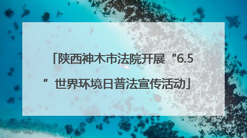 陕西神木市法院开展“6.5”世界环境日普法宣传活动