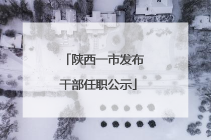 陕西一市发布干部任职公示