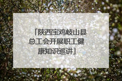 陕西宝鸡岐山县总工会开展职工健康知识巡讲